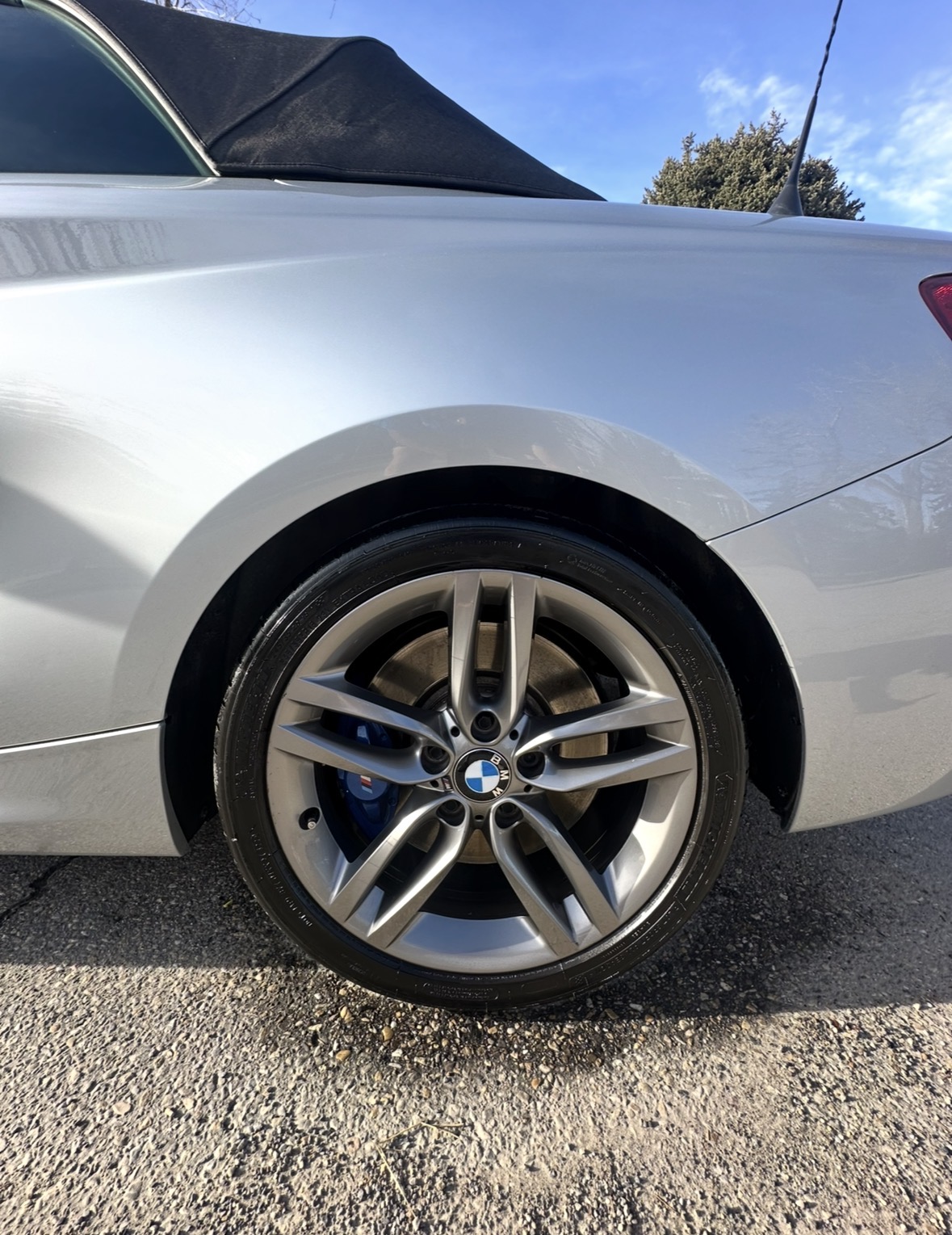 BMW M-series rear wheel and quarter panel freshly detailed
